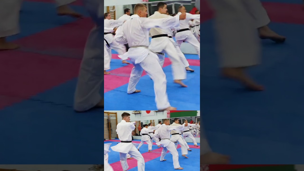 Mawarikomi Uraken Uchi Gyaku Tsuki 