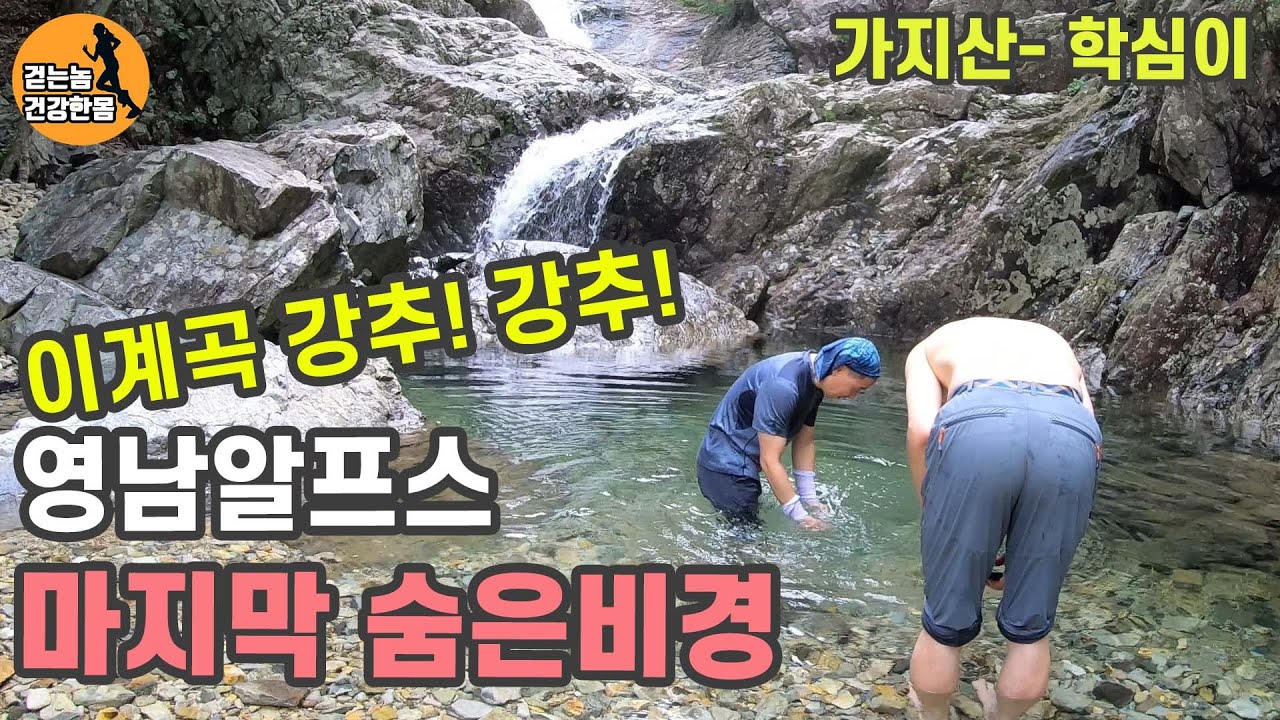 여름 계곡 끝판왕, 영남알프스 숨겨진 조용한계곡 가지산 학심이계곡 울산등산 - 걷는놈 건강한몸