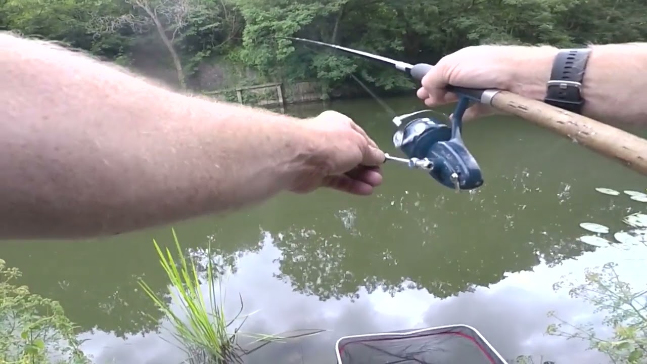 Bristol Avon Fishing