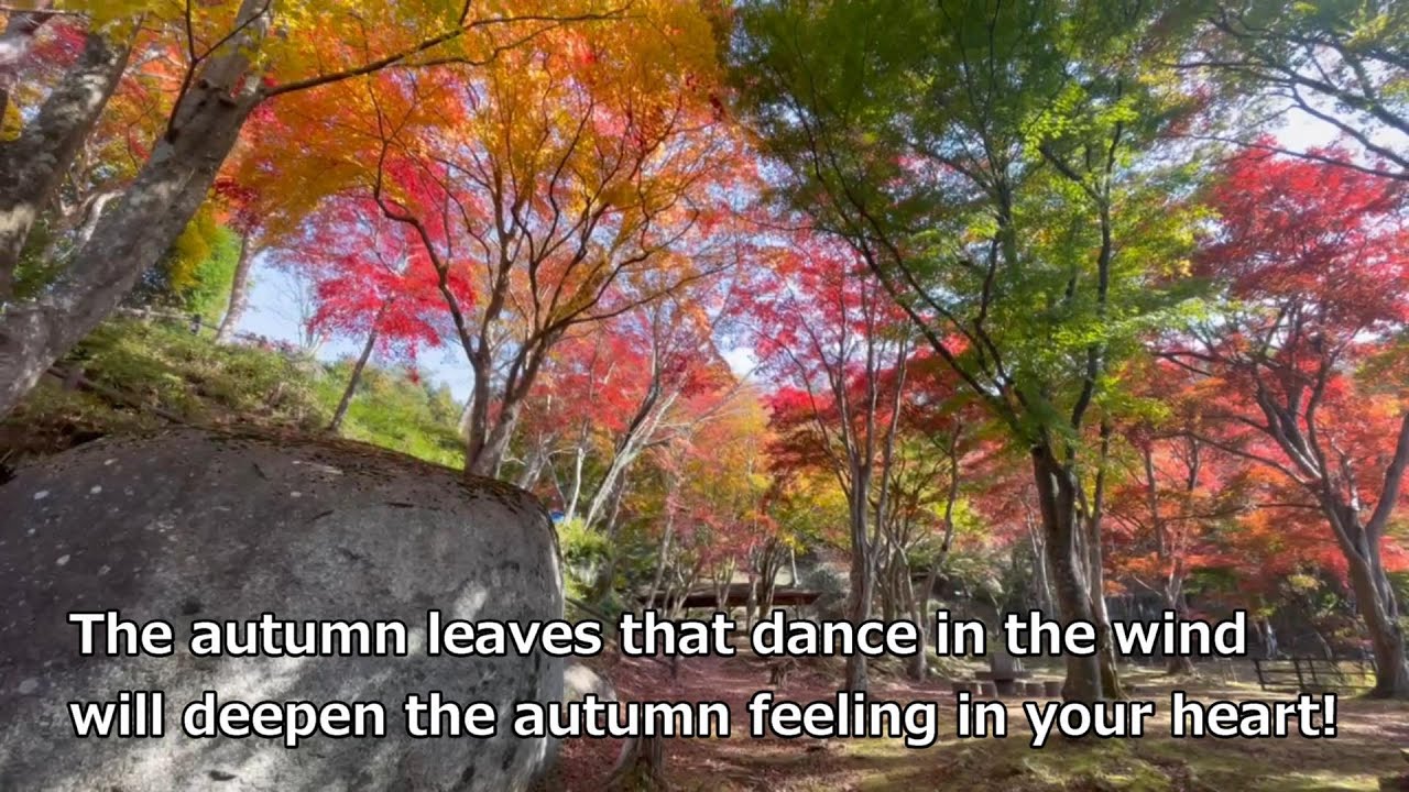 Kasagi town introduction English version Autumn leaves and sea of clouds