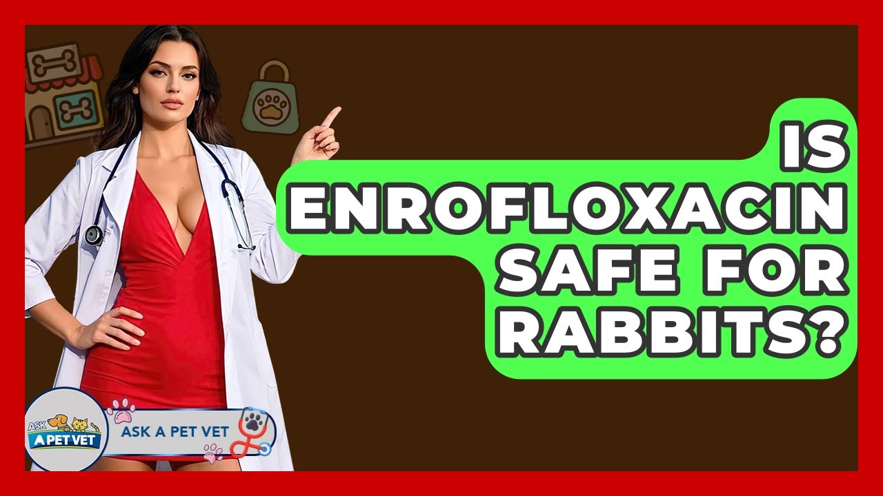Is Enrofloxacin Safe For Rabbits? - Ask A Pet Vet