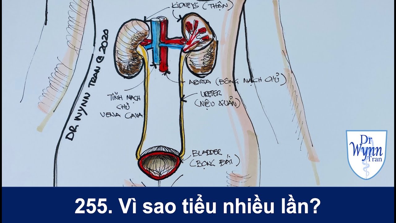 № 255. Никтурия... и частое мочеиспускание