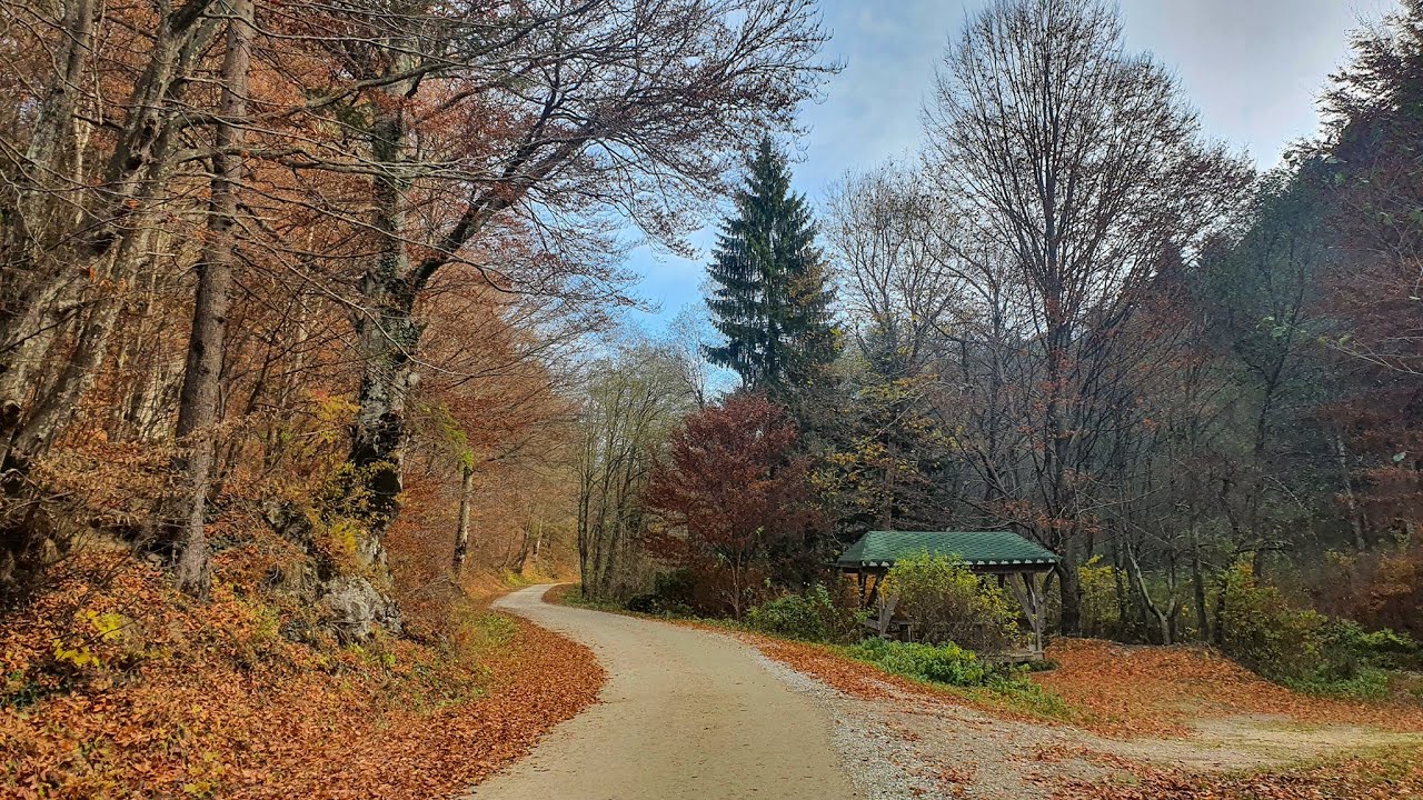 CHEILE RASNOAVEI