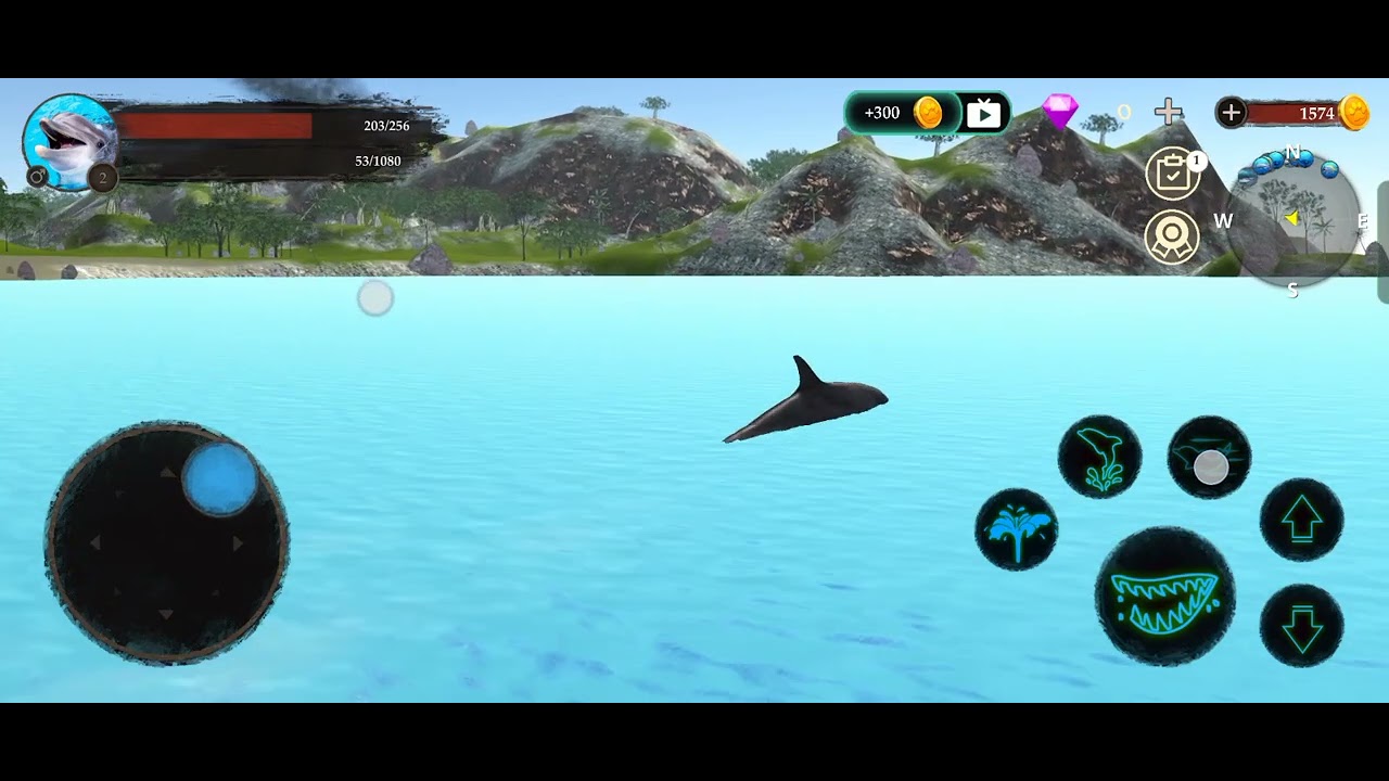 Dolphin 🐬 