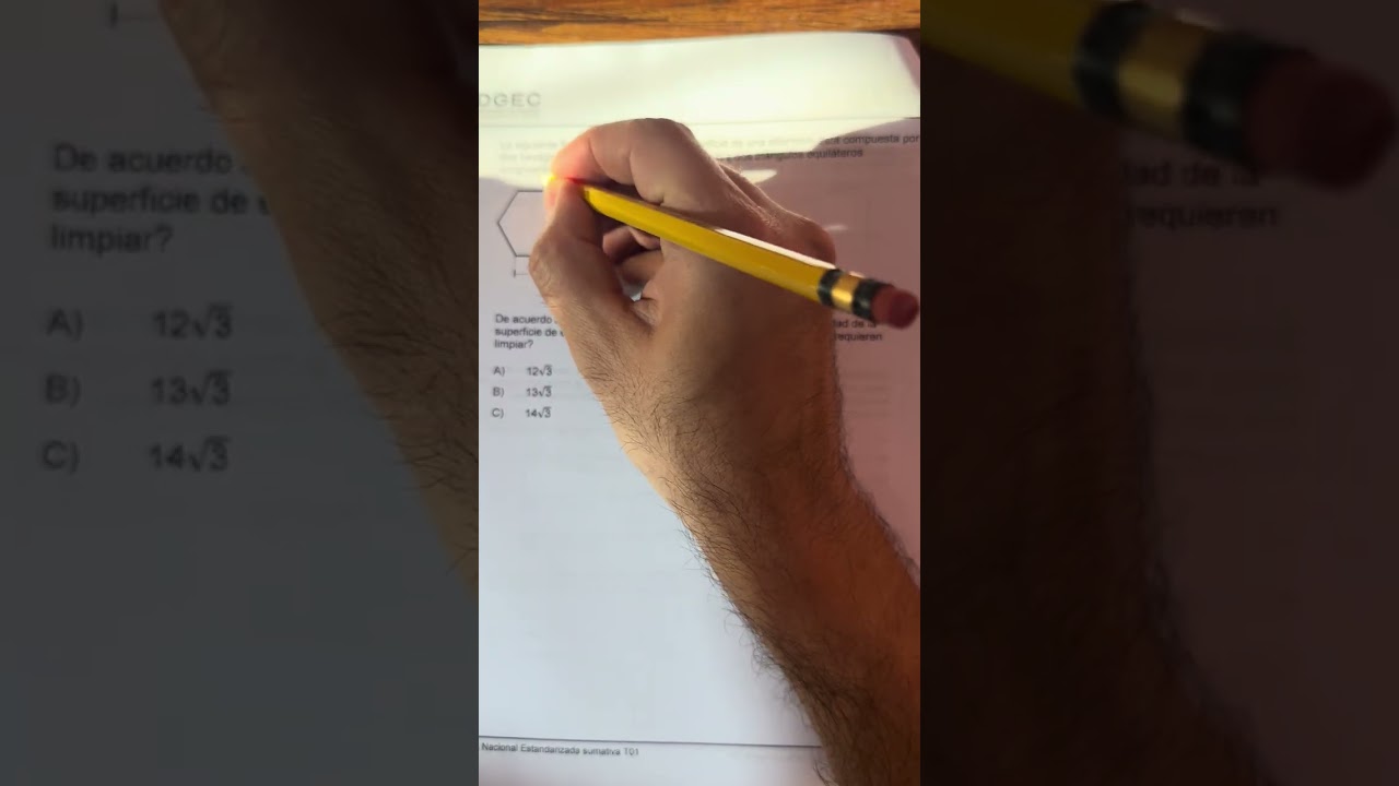 Video 2 (2026) Práctica Prueba 2024