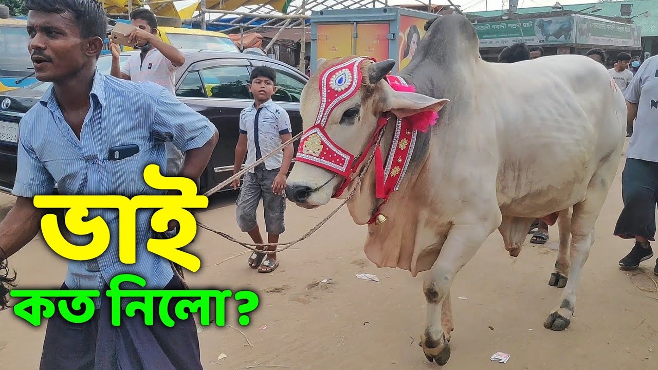 Bhai Koto Nilo? Gabtoli Gorur Haat 2021 Part 15