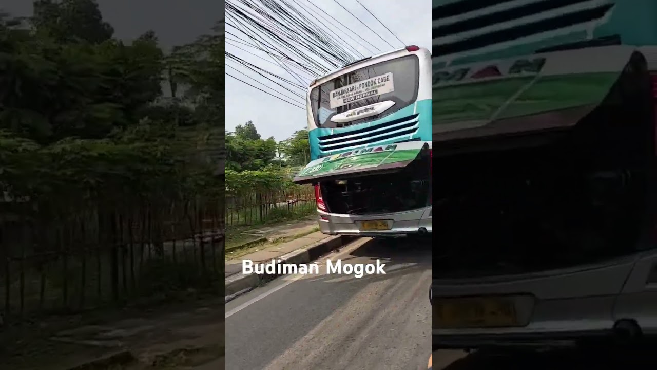 Bus Budiman Mogok di Tanjakan Parung #budimanbus #budimanlovers #tasikmalaya #busmania #bandung