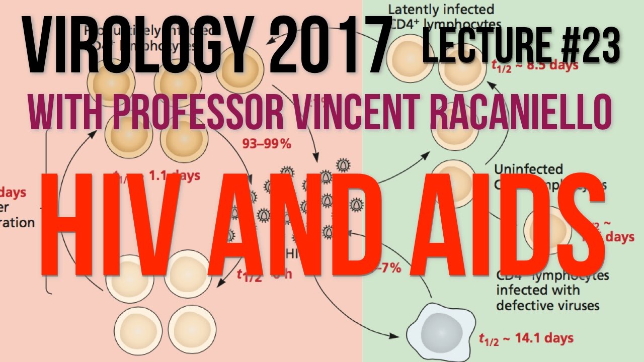 Virology Lectures 2017 #23: HIV and AIDS