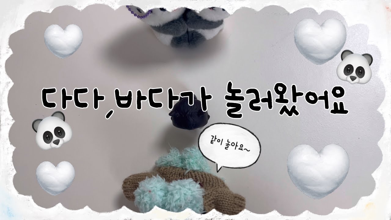 유치원 친구인 다다,바다가 놀러왔어요 #인형 #인형계 #친구 #유치원