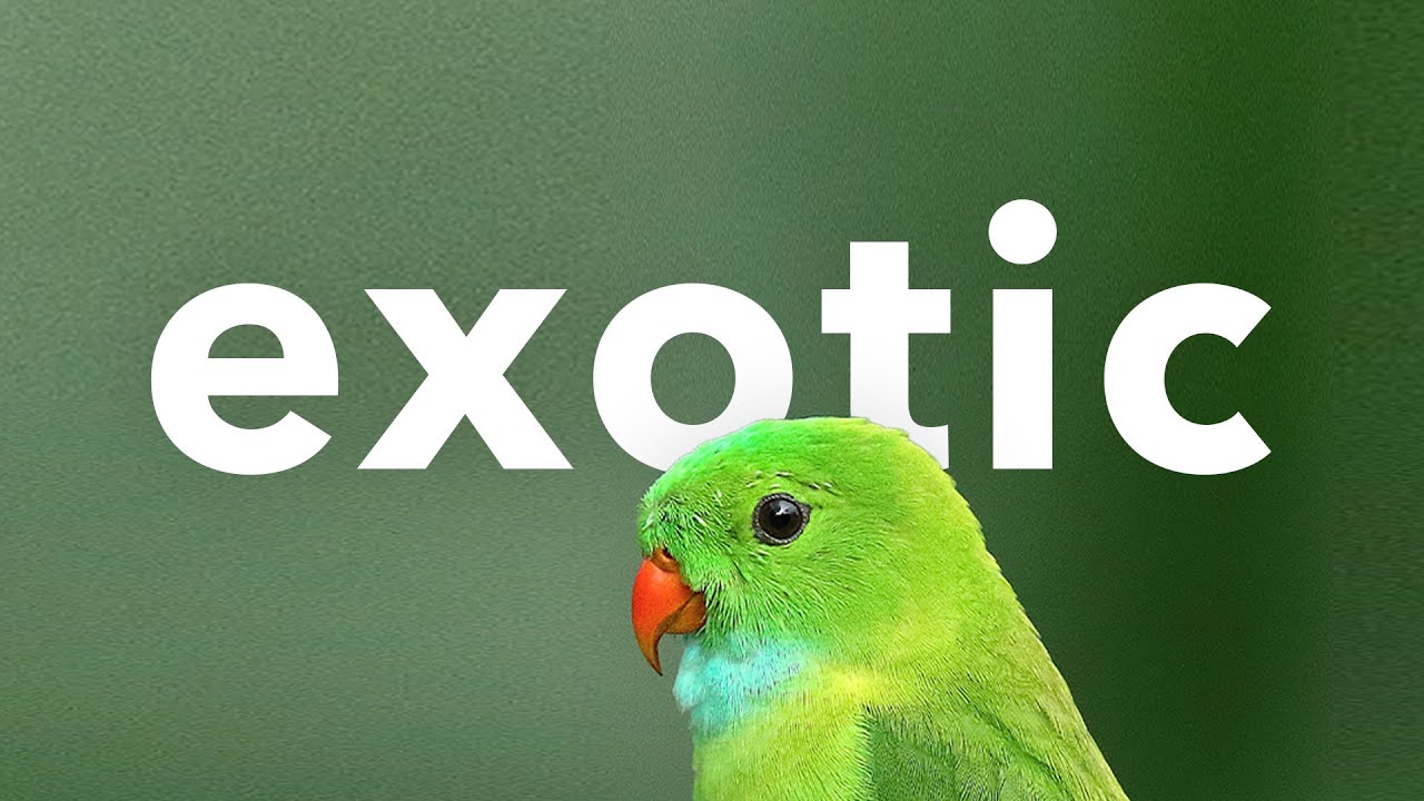 [No Copyright Background Music] Chill Latin Exotic Travel Summer Vlog | Lighthouse by Ocean Bloom