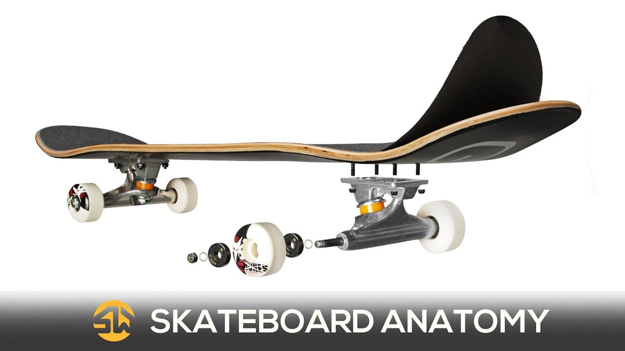 Skate Basics: The Anatomy of a Skateboard