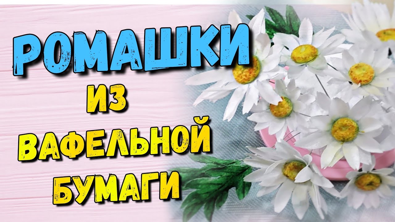 Ромашки из вафельной бумаги / Сhamomile waffle paper