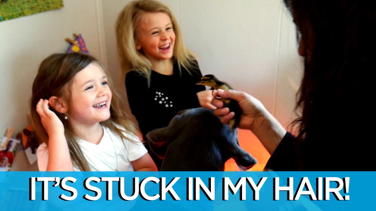 WHAT'S IN THEIR HAIR?! | WITH SKYLYNN FLOYD AND ELIZABETH GRIER-FLOYD