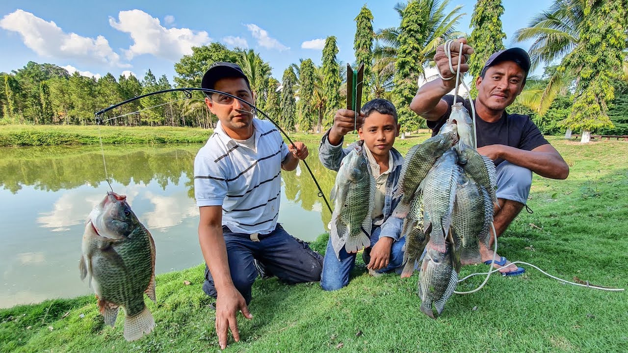 Pescamos Tilapias Con Anzuelo Y Masa Como Carnada