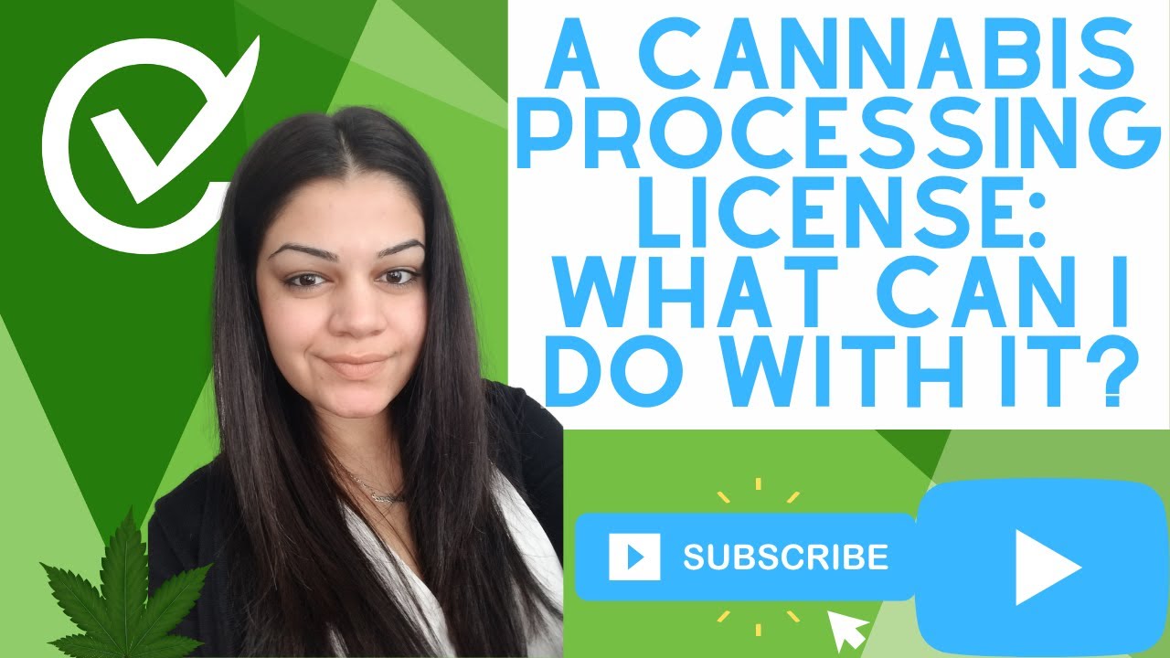 Cannabis processing license: What does it allow you to do in 2022?