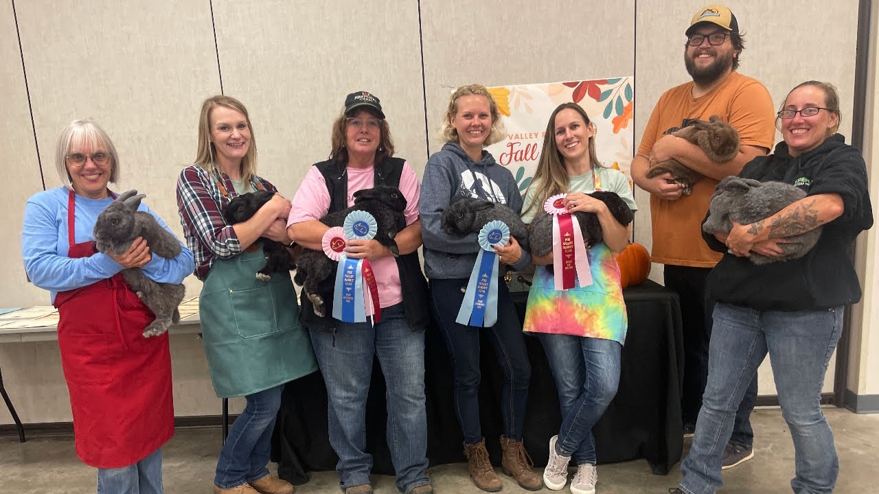 Fox Valley Rabbit Club Fall Show 2022 | Our 2nd Rabbit Show! | Vlog