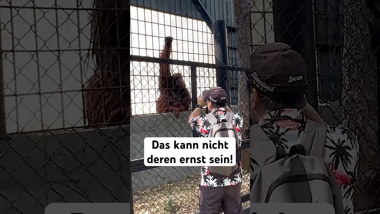 2025 eröffnet dieser Affenpark in Deutschland… unfassbar!