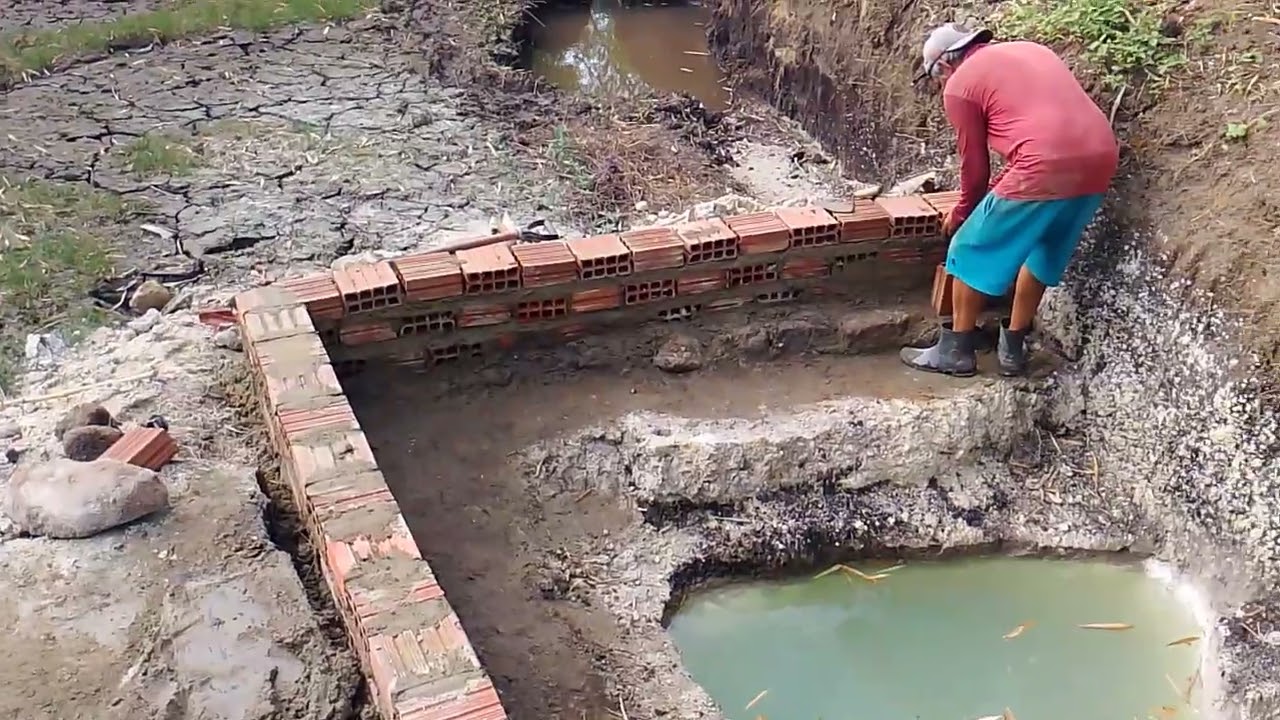 11 de fevereiro de 2026