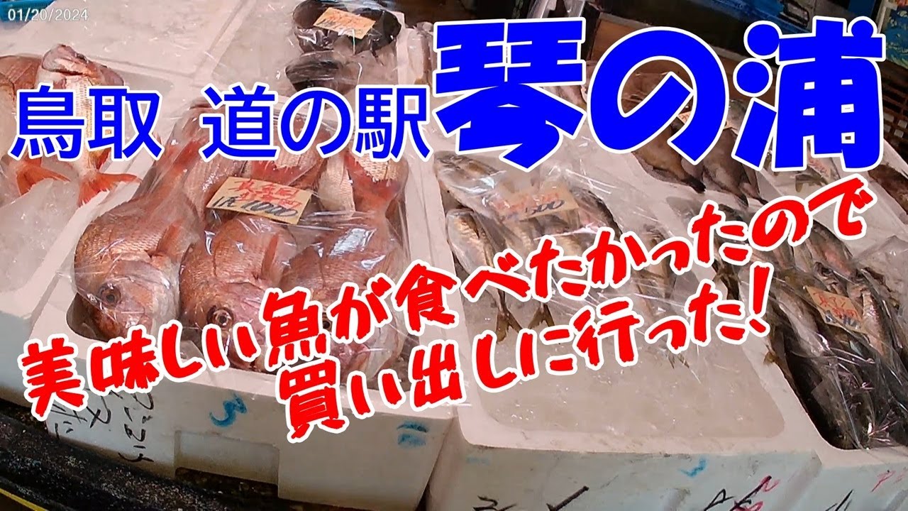 魚を買いに：鳥取【道の駅琴の浦】のポテンシャルがスゴ過ぎた！