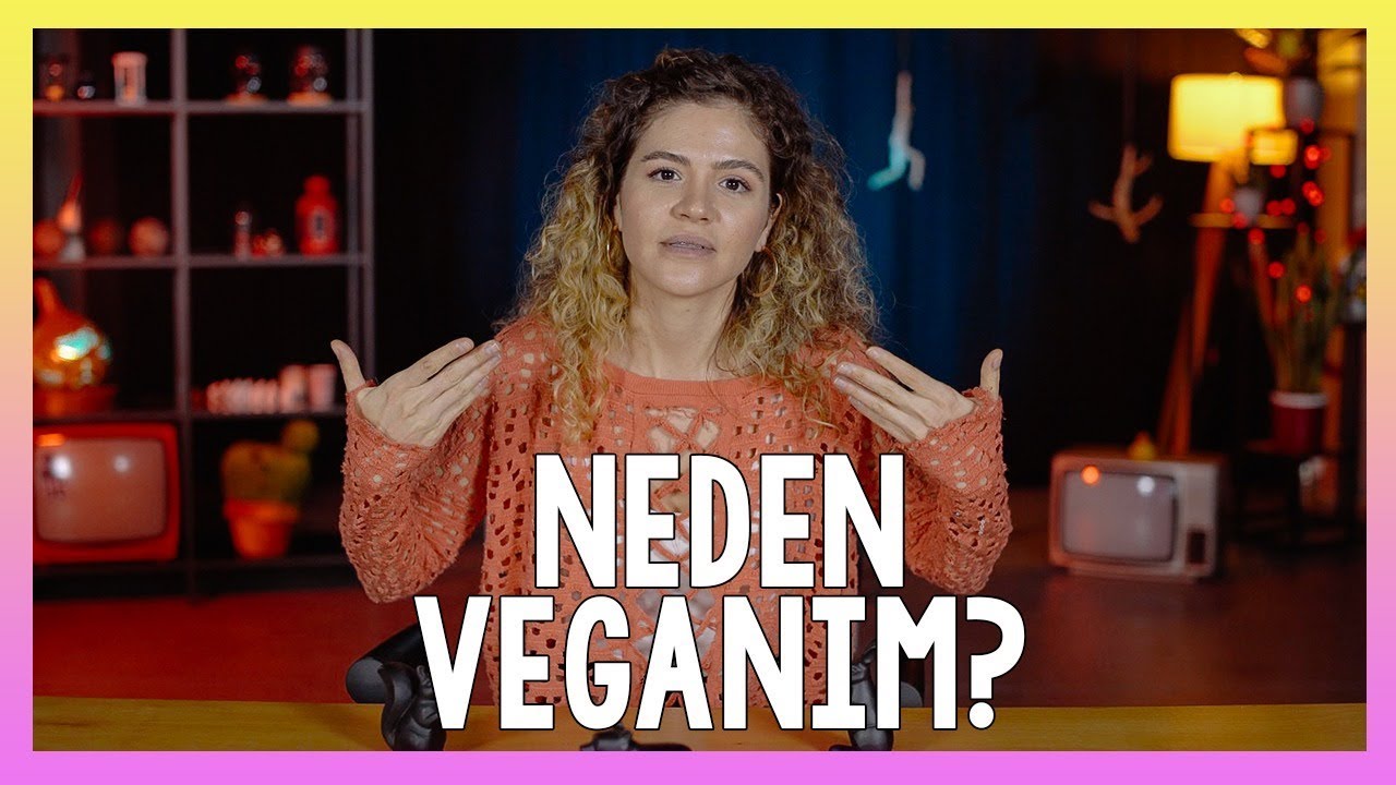 NEDEN VEGAN OLDUM?