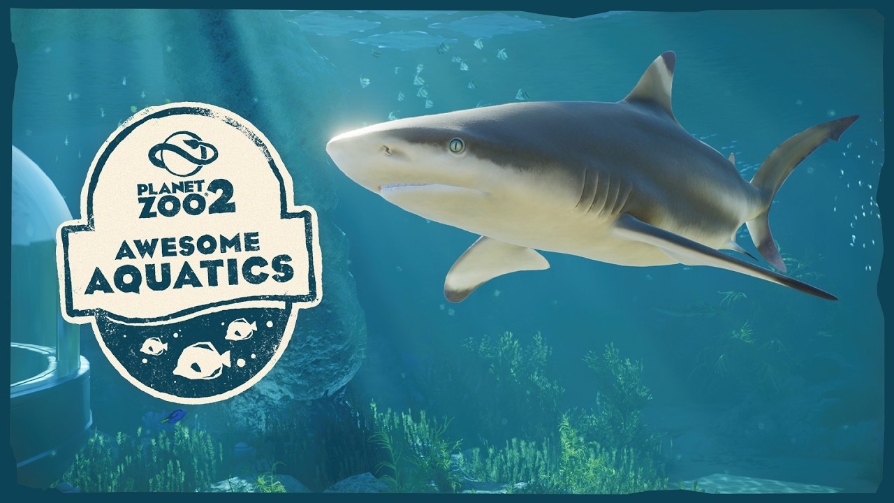 Planet Zoo 2 | Feature Focus - Awesome Aquatics