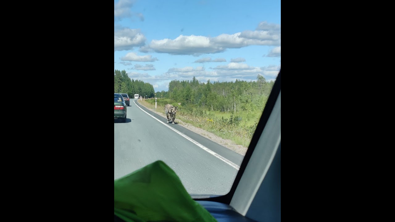 Matkalla pohjoiseen, tilanneraportteja tien varrelta