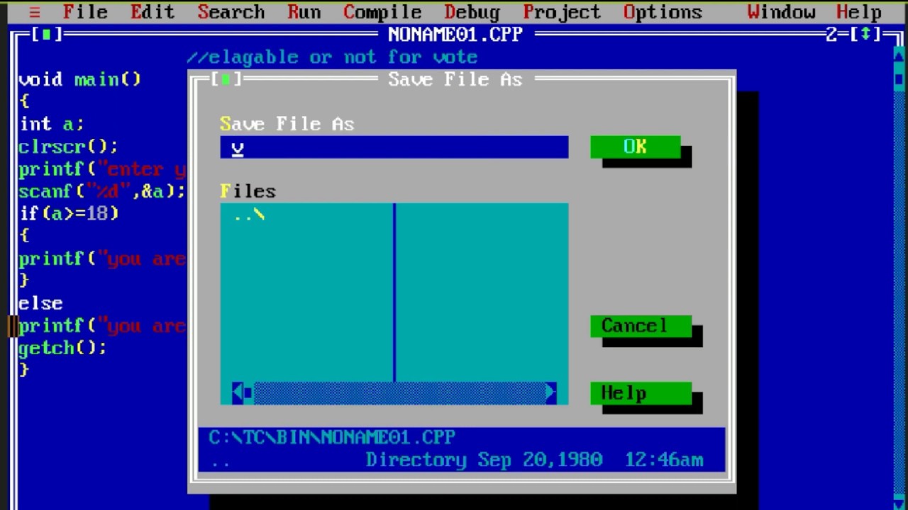 Write a C program to check whether a Person is eligible to Vote or not