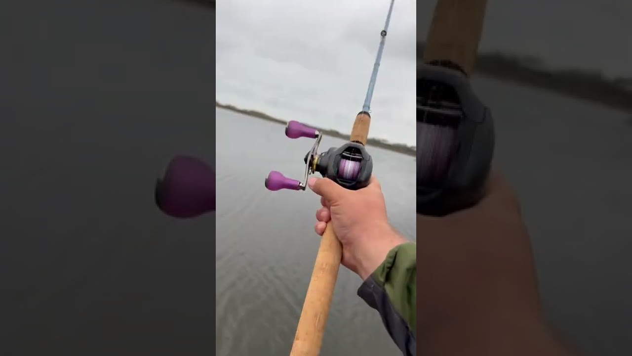 BEST saltwater TOPWATER fishing  combo #fishing #saltwaterfishing