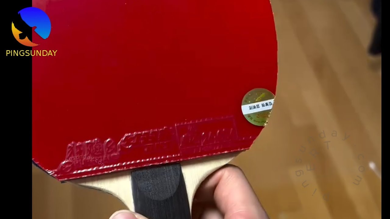 Should I Use DHS Hurricane 3 on My Backhand? A Lesson from Ma Long