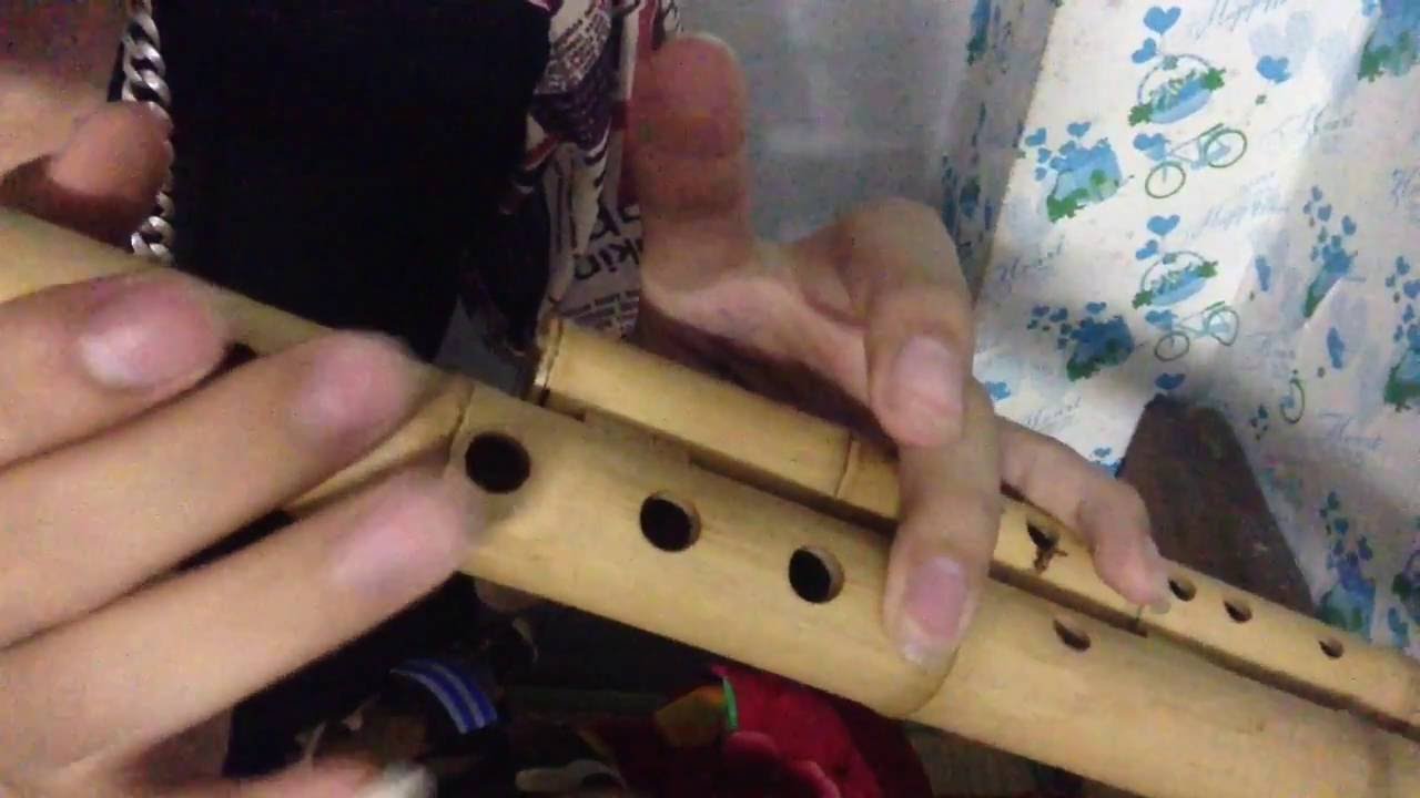 Hướng Dẫn Thổi Sáo Mèo Bài Người Mèo Ơn Đảng - Sáo Mèo Vũ Trụ