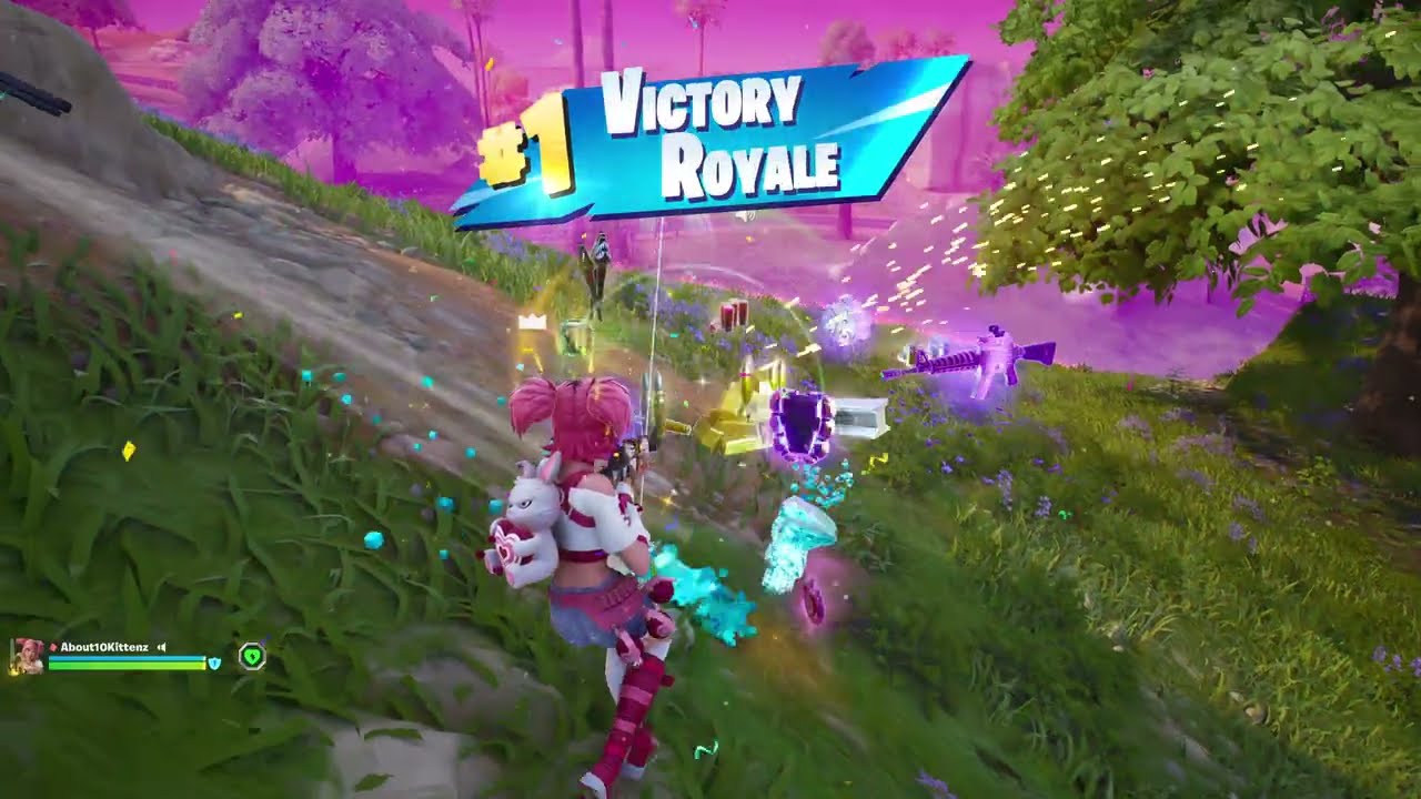 Fortnite 4 kill Duo Victory