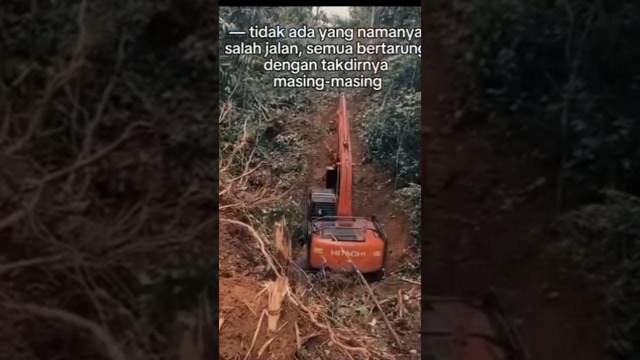 #excavator nyaris terbalik saat membuka lahan sawit baru #shorts #excavator #sawit #fyp #viralshort