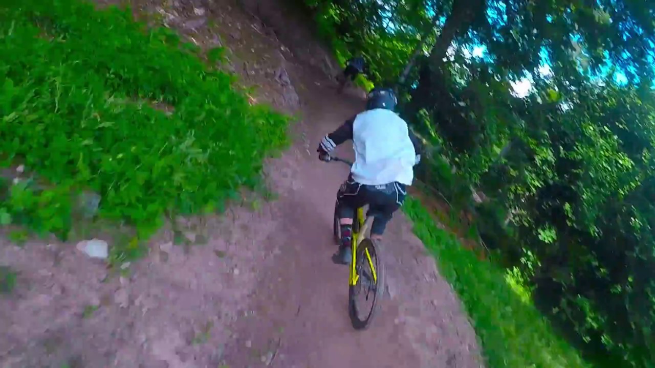 Wood to Dirt @ AlpenbikePark Chur 2018