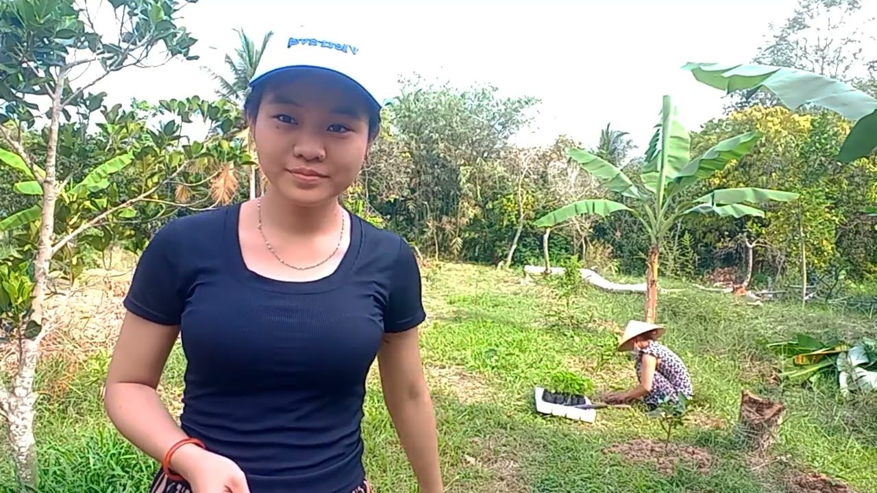 Một ngày đi trồng ớt trên Nội (19/3/2026)