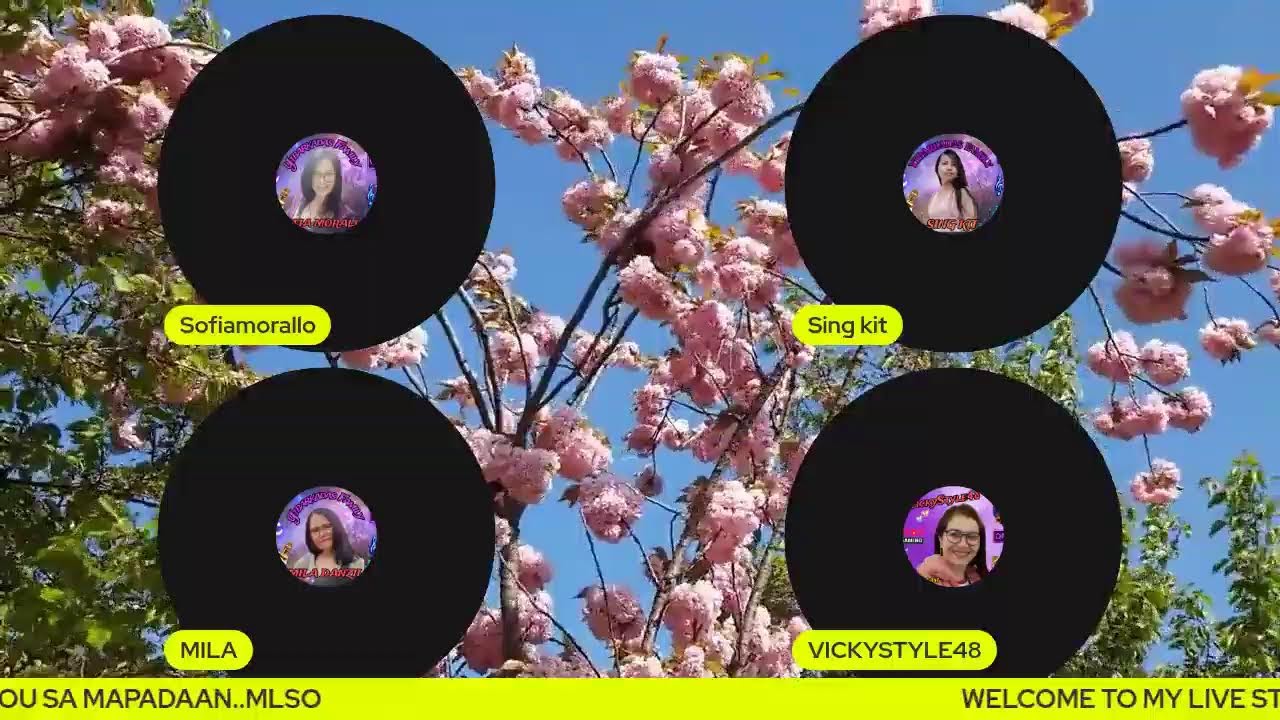 MUSIC LIVE STREAM FOR WH