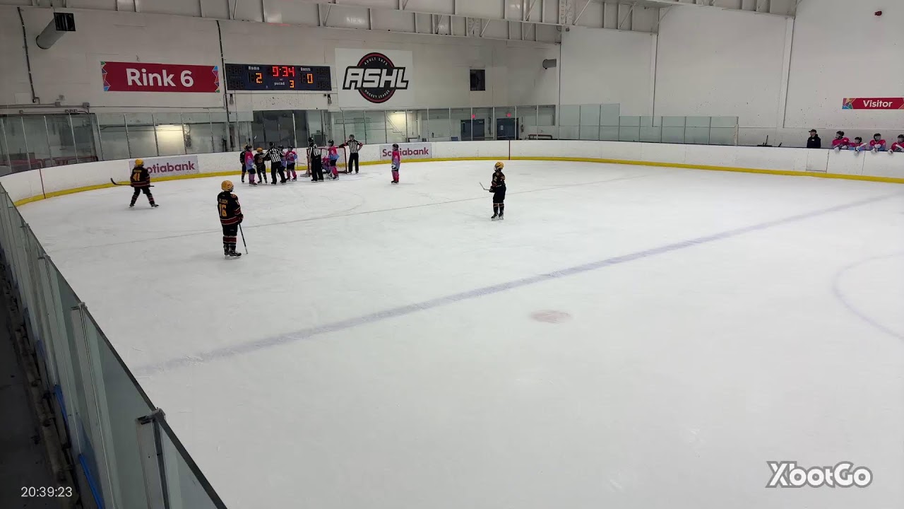 HPL Coyotes vs Bulldogs