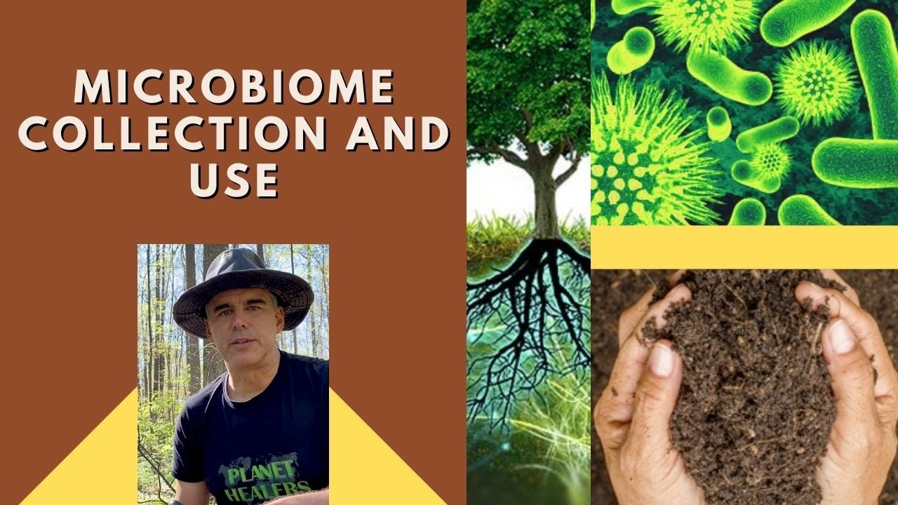 Microbiome Collection and Use - Easy Soil and Rice Method