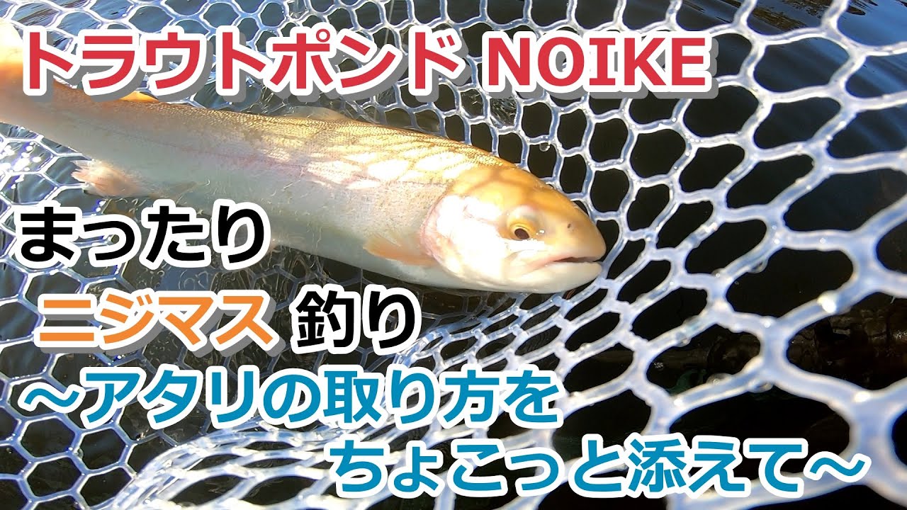 トラウトポンド NOIKE 管理釣り場でまったりニジマス釣り～アタリの取り方をちょこっと添えて～【エリアトラウト】【2022年2月11日】