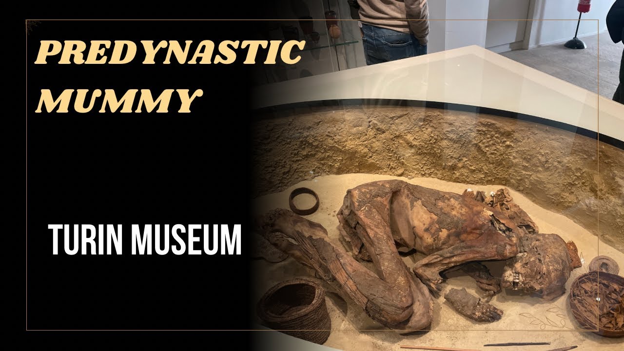 Mummia di Gebelein: Museo Egizio|Gebelein predynastic mummy