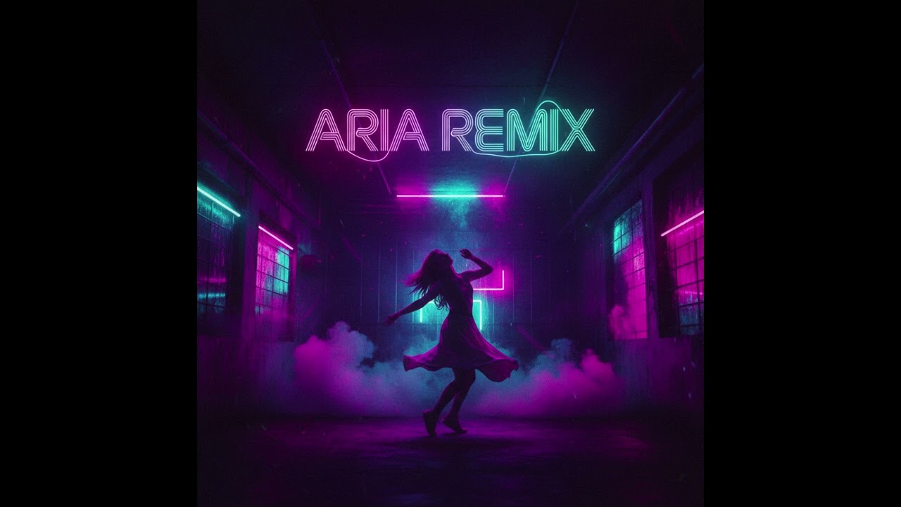 DJ Snake -in the dark (Aria remix)