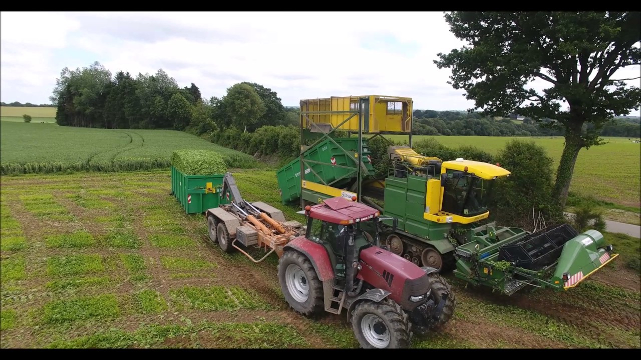[Harvest Spinach] Récolte d'épinards 2017
