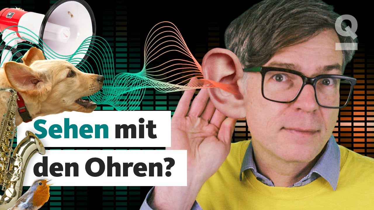 Hören: Wie unser Gehirn uns vera****t | Quarks Dimension Ralph