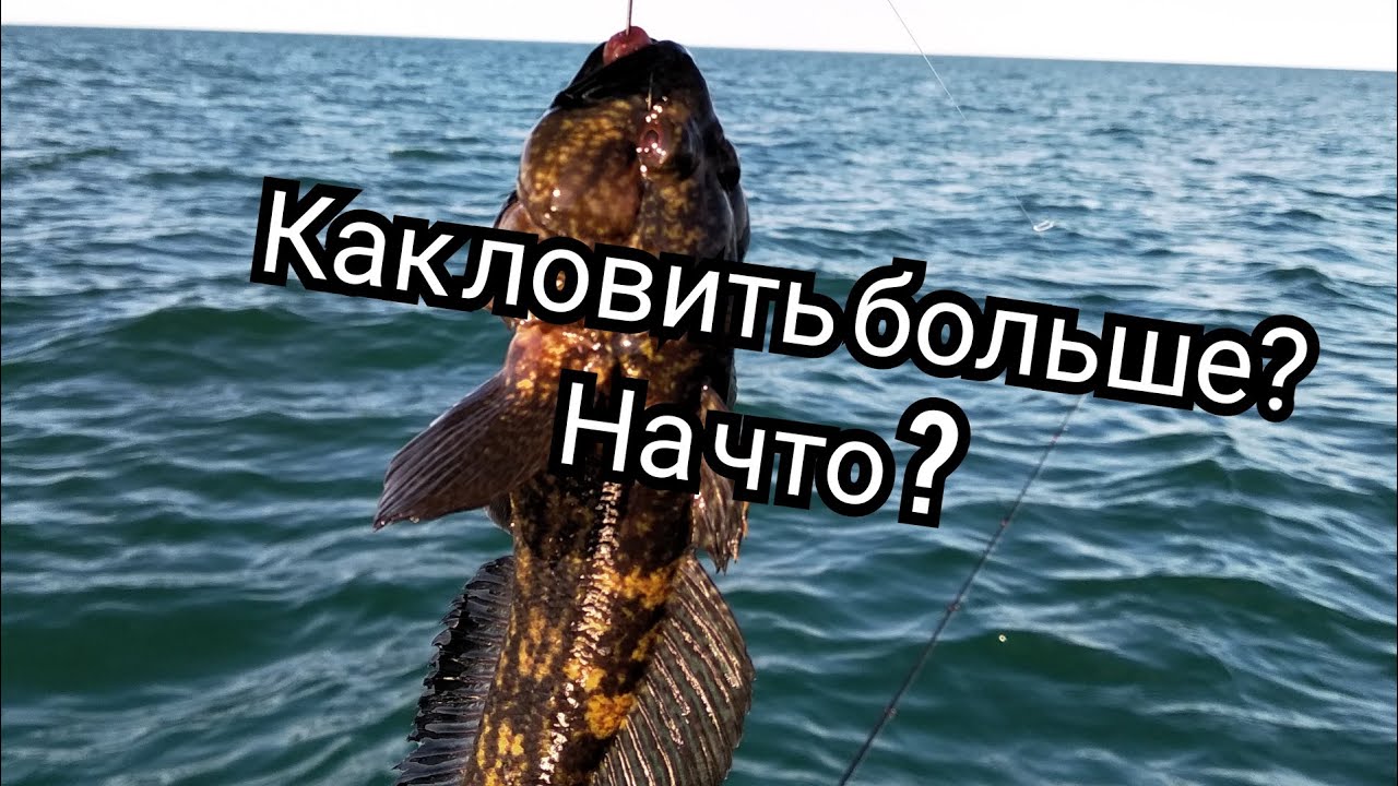 Теория и практика ловли на силиконовые приманки.Ловля бычка на море.