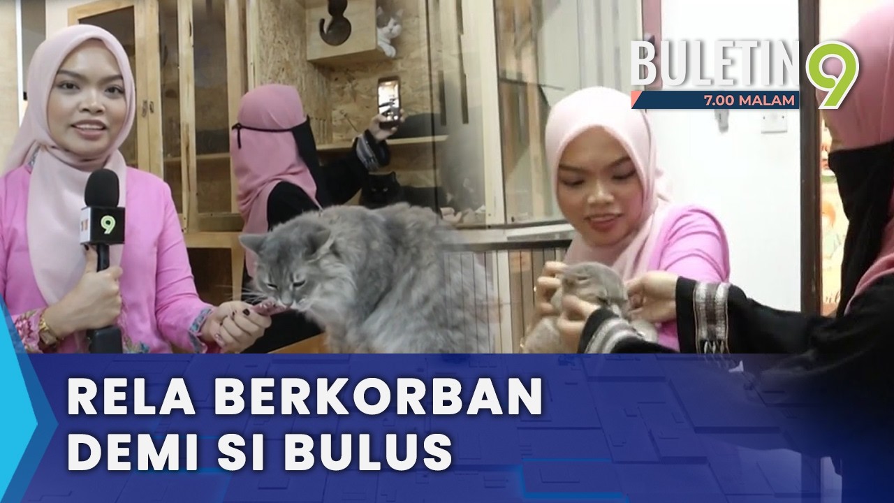 Rela Korban Raya Demi Kucing