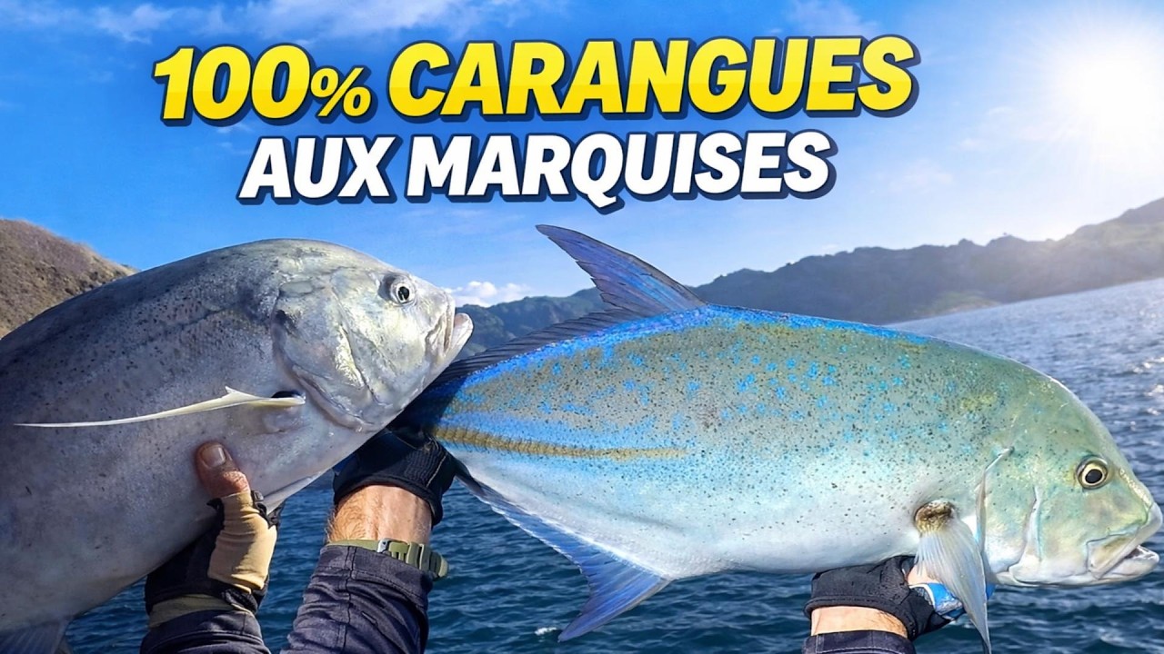 Pêche aux Marquises 2024 – Compilation 100% Carangues