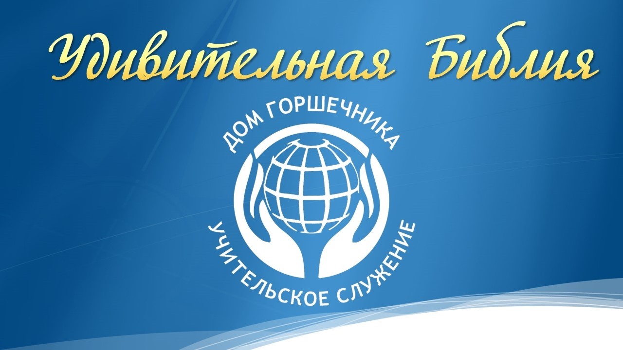 February 25, 2026 Дом Горшечника - Live Stream