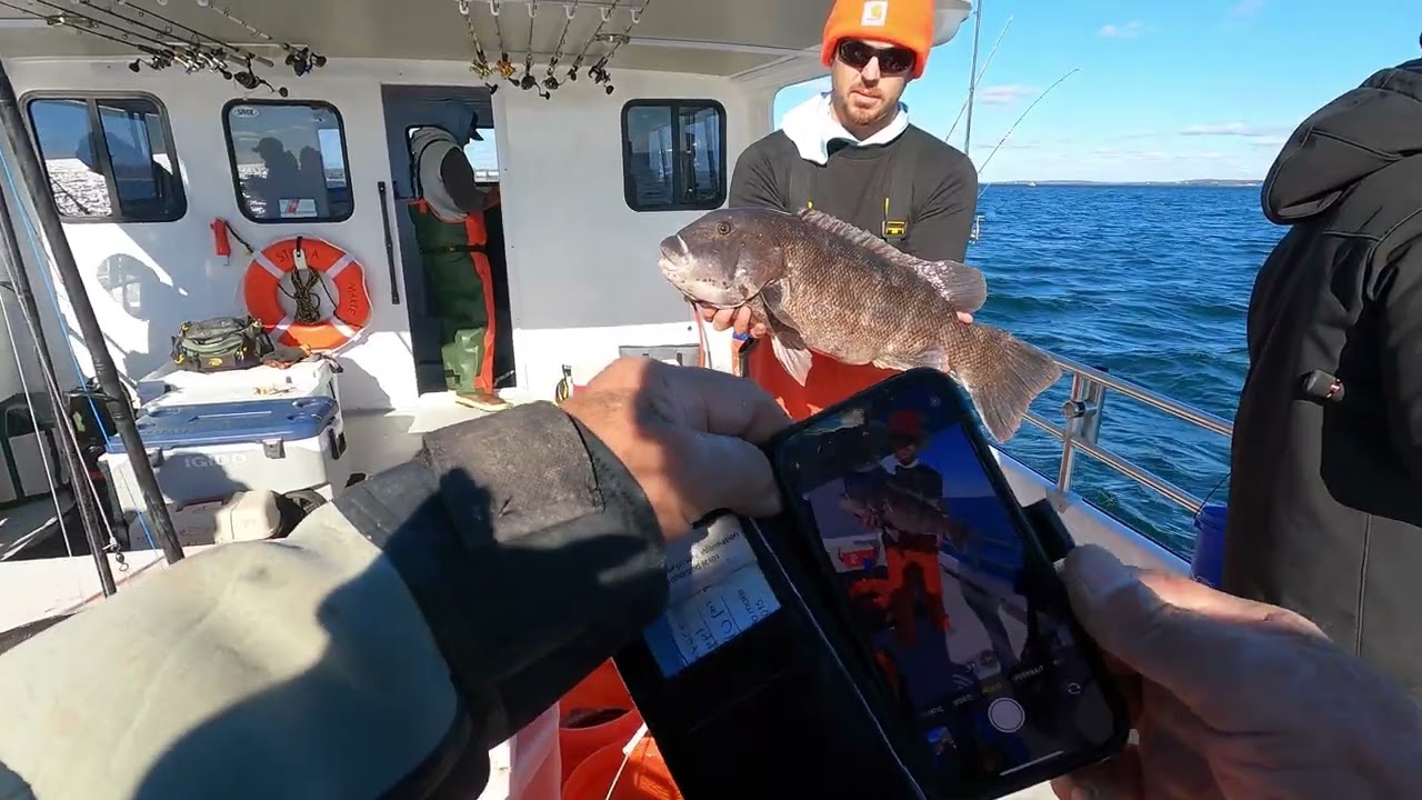 Full Boat Limit & Unbelievable 3 DD's Day with multiple doubles caught.