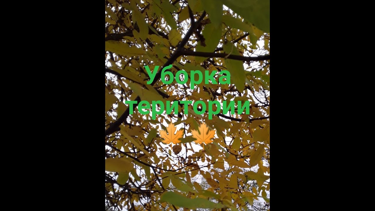VLOG Были в мебельном магазине/уборка 🍁🍁 во дворе.
