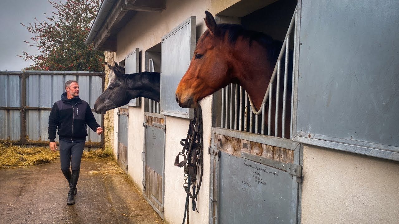 Grégory Cottard, l'espoir de l'équitation française