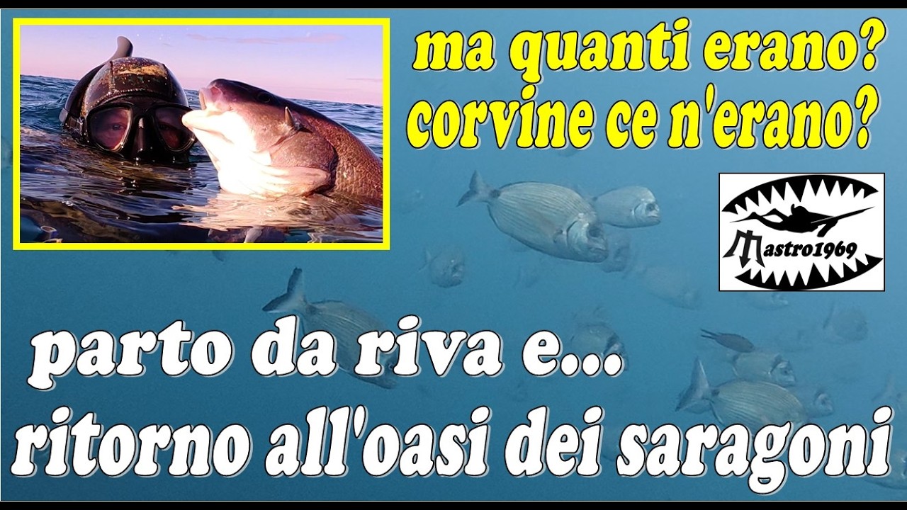 PESCASUB oasi saragoni e corvinone partenza da riva con sparamine